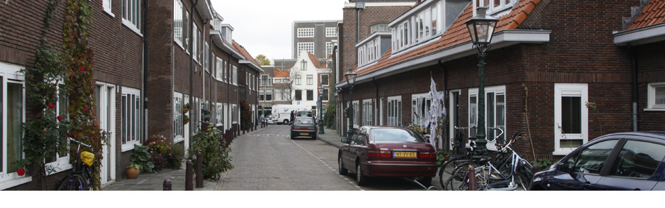Leiden Banner